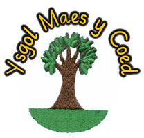Ysgol Maes y Coed PTFA