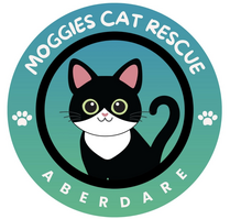 Moggies Cat Rescue Aberdare