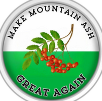 Make Mountain Ash Great Again