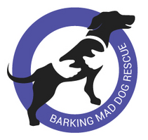Barking Mad Dog Rescue