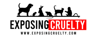 Exposing Cruelty