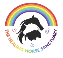 The Healing Horse Sanctuary