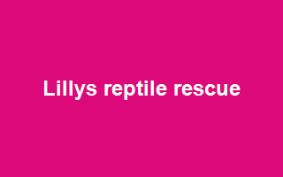 Lilly's Reptile Rescue