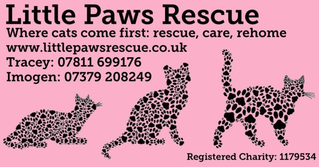 Little Paws Rescue, North Somerset