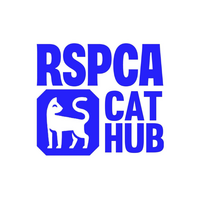 RSPCA Cat Rehoming Hub