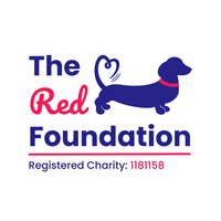 The Red Foundation